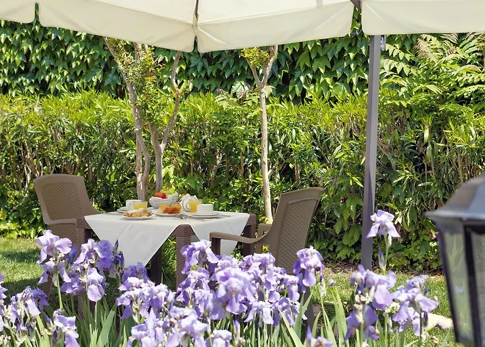 فندق تري آرشي 3*